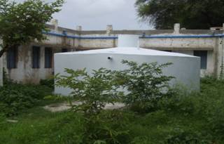 IMGP5883