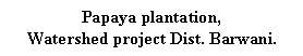 Text Box: Papaya plantation, 
Watershed project Dist. Barwani.
