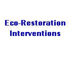 Link to PROJECTS.